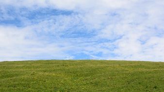 landscape of green Meadow on the horizon
