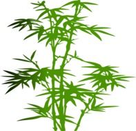 Green bamboo plant clipart