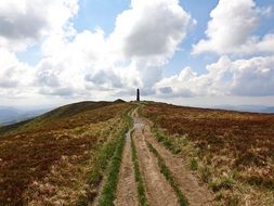 trail way in the mountains landscape