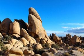 rocks in joshua national park on a sunny day