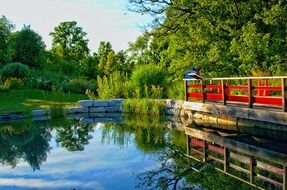 bridge over the lake in summer forest