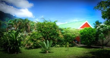 asian green garden mountain landscape