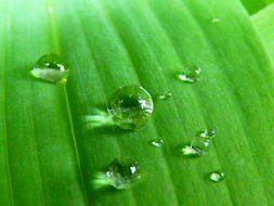 drop of water close up