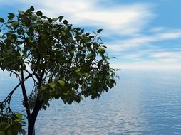 photo of young green tree by the ocean