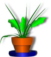 Green plant in the pot clipart