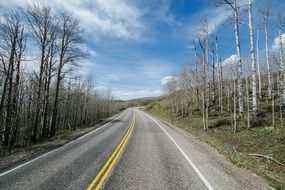 rural road pavement trees blue sky view