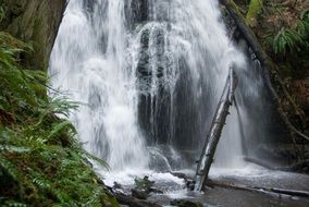 splashing forest waterfall