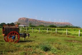 Horse cart on the Nargund Hill