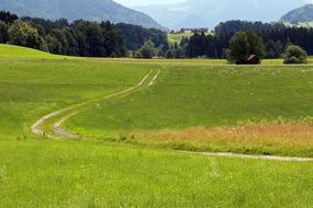 dirt road among green spaces in the chimgau region