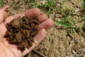 soil on hand