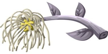 gray branch with a yellow flower as a graphic illustration