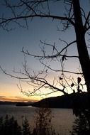 morning landscape of Canim Lake in British Columbia