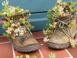 Boots with the colorful flowers