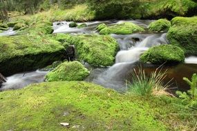 river in south bohemia Сzech Republic