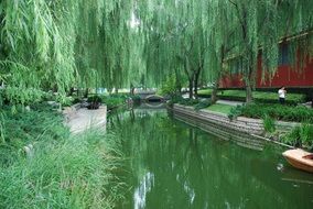 water channel in a japanese garden