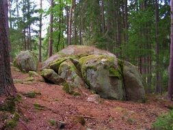 big stones in the forest among the trees