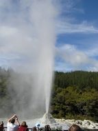 geyser new zealand