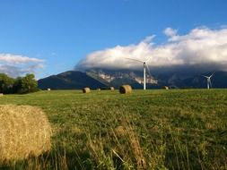 bales of straw lie on a green field near the windmills