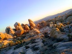 boulders in joshua tree national park