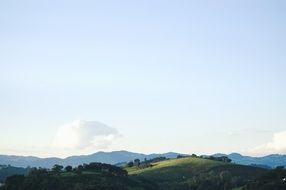 green grass on a hill against a clear sky