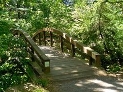 wooden bridge in the spring forest