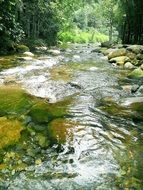 running water of a brook