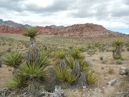 cloudy sky over the Mojave Desert