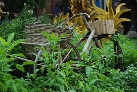 bamboo bike in garden