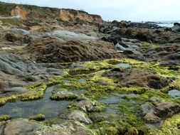 scenic Bean Hollow State Beach in California