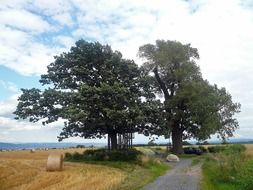 Landscape of Germany