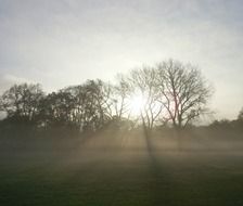 Fog day in November