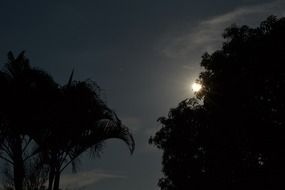 night moon silhouette