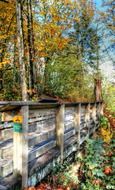 wooden bridge among autumn trees