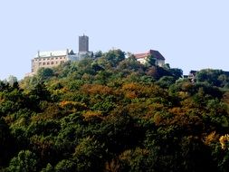 wartburg castle