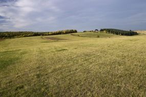 autumn in the meadow