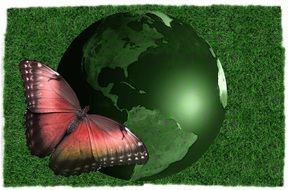 earth globe butterfly poster