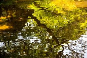 colorful ripple, reflection of trees on water