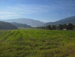 field in green valley, germany