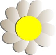 graphic image of chamomile with white petals