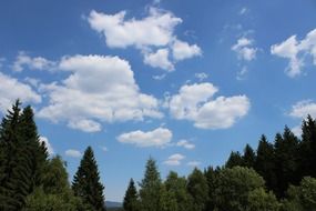 Landscape with the white clouds