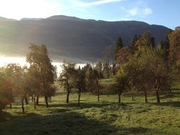 Landscape picture of the morning autumnal nature