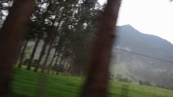 forest route through the lake