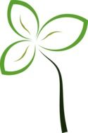 abstract plant drawing