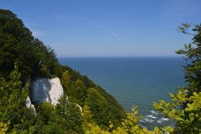green plants on white rocks on the island of Rugen on the Baltic Sea