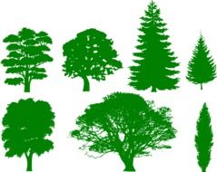 green silhouettes of diverse trees