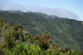 ananagebirge viewpoint on Tenerife