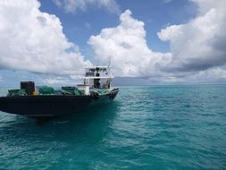 cargo ship in the ocean