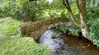 river in a park in england