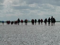 mudflat hiking on the North sea