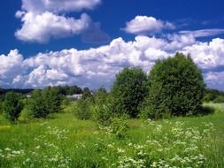 countryside at summer, Russia